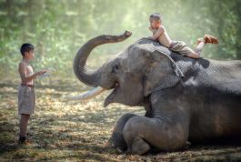 Thailand
