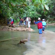 Ecotourism