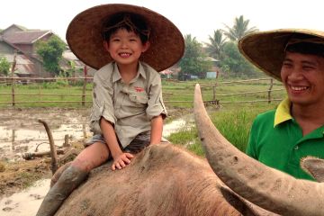 Laos At Glance