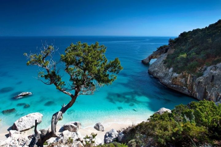 North Vietnam Experience 